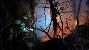 Ruhe, natur und schneevergnügen im herzen des nationalparks 6