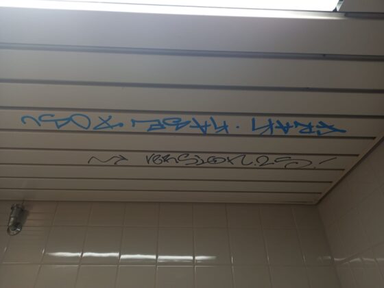 Graffiti Klein-Winternheim (1)