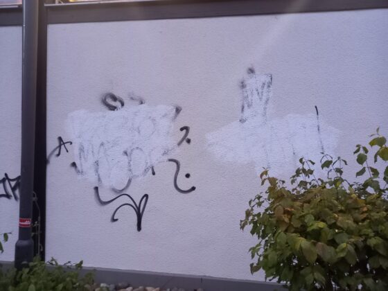 Graffiti Klein-Winternheim (1)