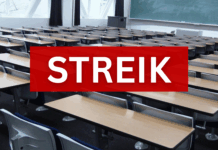 Schulstreik gegen Wehrpflicht in Wiesbaden und Frankfurt