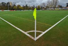 Neuer Kunstrasen für den Sportplatz Mainz-Gonsenheim Sportplatz Mainz-Gonsenheim