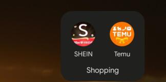 Temu & Shein