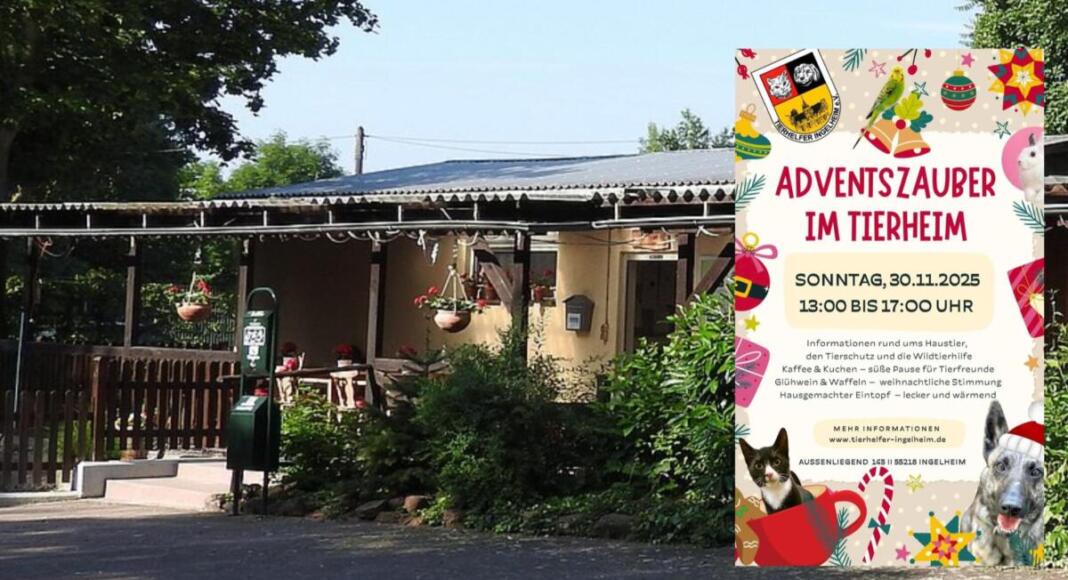 Tierheim Ingelheim
