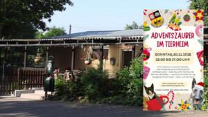 Polizist bei unfall auf der a671 schwer verletzt