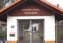 Weihnachtsbasar und Tag der offenen Tür im Tierheim Rüsselsheim Tierheim Rüsselsheim