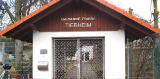 Tierheim Rüsselsheim