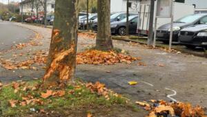 Neue details zum großeinsatz im nordwestzentrum frankfurt