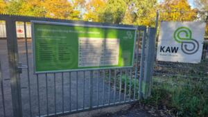 Visuelles storytelling in modernen videospielen: wenn spiele zur kunst werden