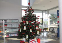 Wunschbaumaktion in Riedstadt für Kinder und Jugendliche Wunschbaum Riedstadt