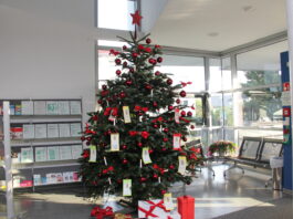 Wunschbaum Riedstadt