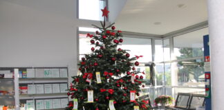 Wunschbaum Riedstadt