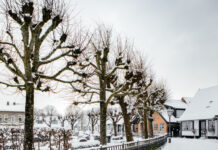 Schleswig erleben: Die besten Highlights in der Winterzeit