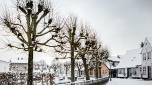 Netto in wackernheim lässt kunden im dunkeln 4