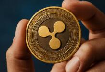 Was ist der XRP (Ripple) Coin und wie funktioniert das Netzwerk dahinter?