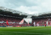 Mainz 05 holt offenbar doch Ex-Bundesliga-Coach