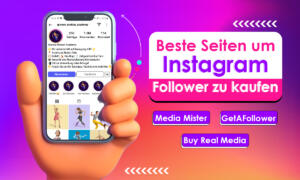 3 beste seiten um instagram follower kaufen für influencer 3 beste seiten um instagram follower kaufen für influencer