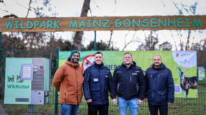 Aus für ingelheimer beratungsfirma: insolvenzantrag der faro beratung gmbh abgewiesen