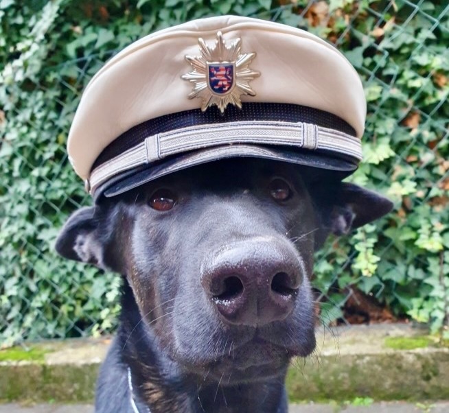 Polizei Westhessen (2)