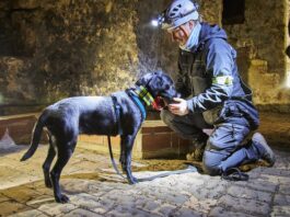 Foto: S. Arnold/Stadt Oppenheim