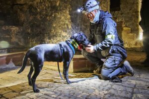 Foto: S. Arnold/Stadt Oppenheim