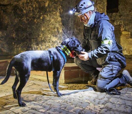 Foto: S. Arnold/Stadt Oppenheim