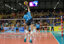 VC Wiesbaden verliert trotz starker Leistung gegen Allianz MTV Stuttgart VC Wiesbaden