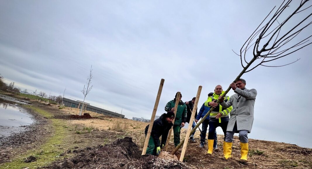 Renaturierung in Alzey