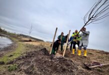 Renaturierung entlang der Selz in Alzey Renaturierung in Alzey