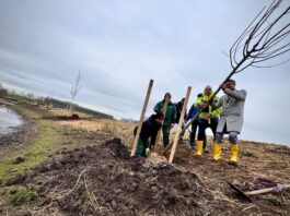 Renaturierung in Alzey