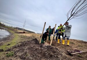 Günstigeres d-ticket für auszubildende im kreis mainz-bingen gefordert