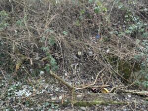 Mainzerin um 150. 000 euro betrogen