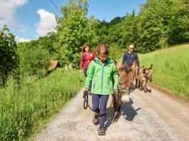 Tiererlebniswege Bayerischer Wald
