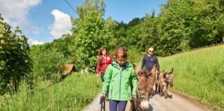 Tiererlebniswege Bayerischer Wald