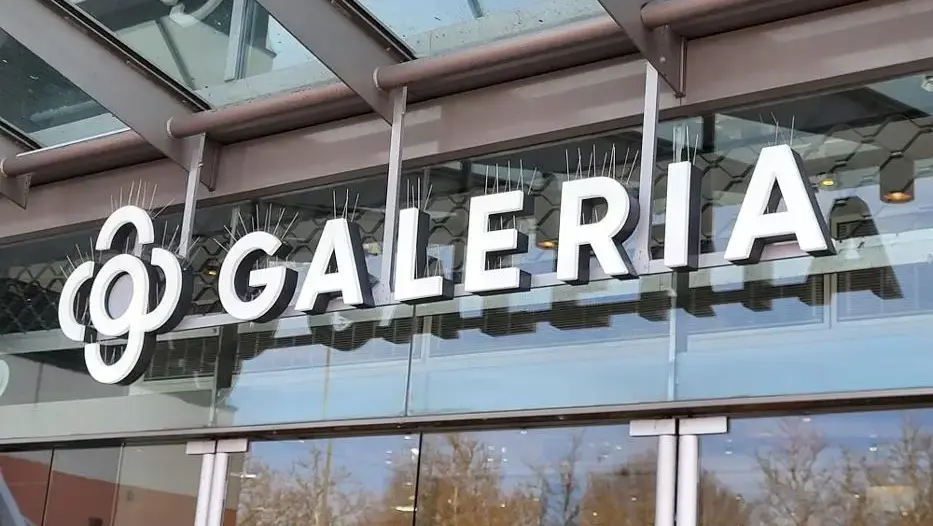 Galeria