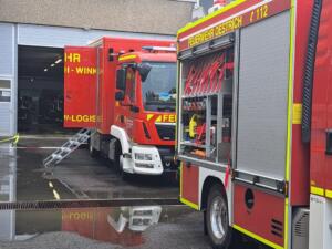 Tiktoker verliert katzen nach gerichtsbeschluss in mainz