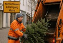 Informationen zur Weihnachtsbaum-Entsorgung in Mainz