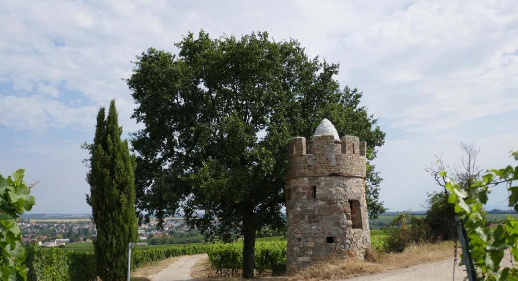Westhofener Wingertsheisjer Wanderweg