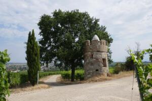 Freizeittipp rheinhessen - westhofener wingertsheisjer wanderweg