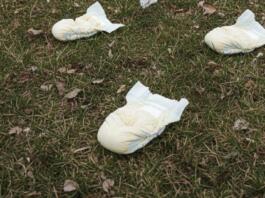 Ekel-Funde in der Gemeinde Budenheim