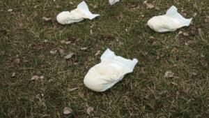 Ekel-funde in der gemeinde budenheim Ekel-funde in der gemeinde budenheim