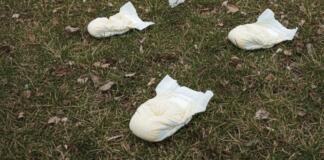 Ekel-Funde in der Gemeinde Budenheim