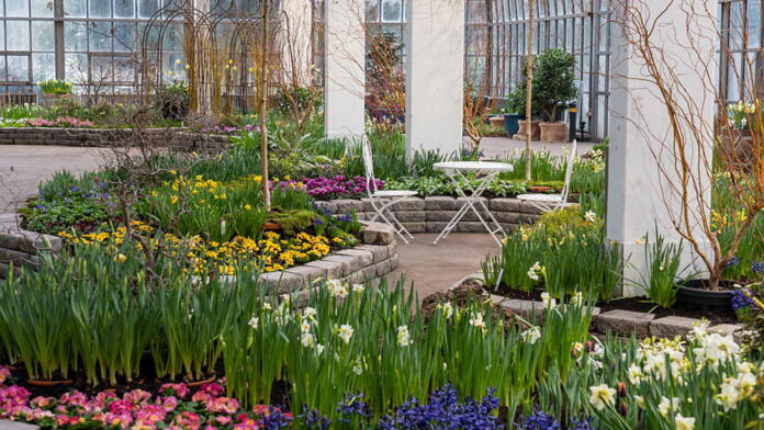 Frühlingsblumenschau im Palmengarten