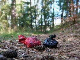 Gonsenheimer Wald Hundekotbeutel