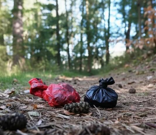 Gonsenheimer Wald Hundekotbeutel