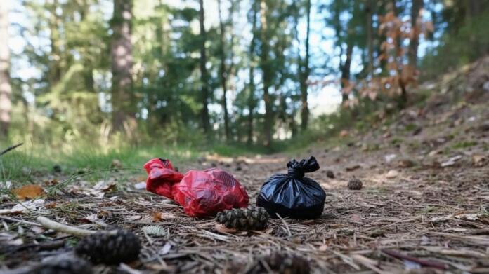 Gonsenheimer Wald Hundekotbeutel