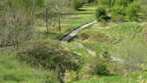 Konflikte durch unangeleinte hunde im ober-olmer wald Hunde im ober-olmer wald