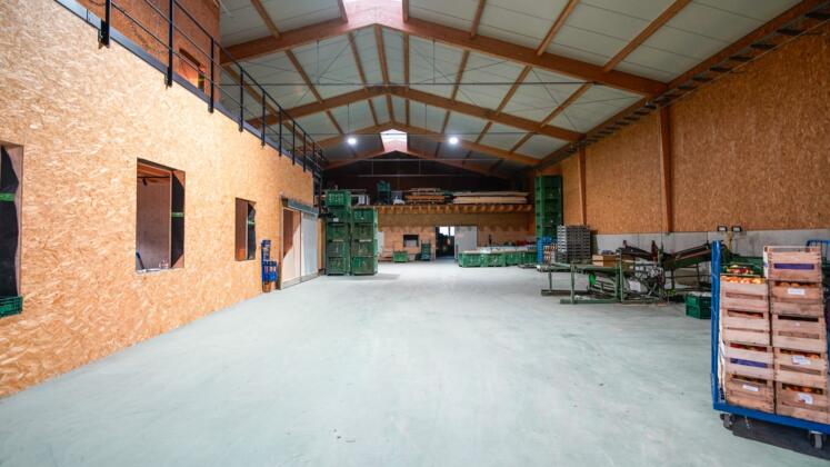 Unternehmertreffen beim obsthof werner in heidesheim Obsthof werner in heidesheim | foto: frau schmitt fotografiert