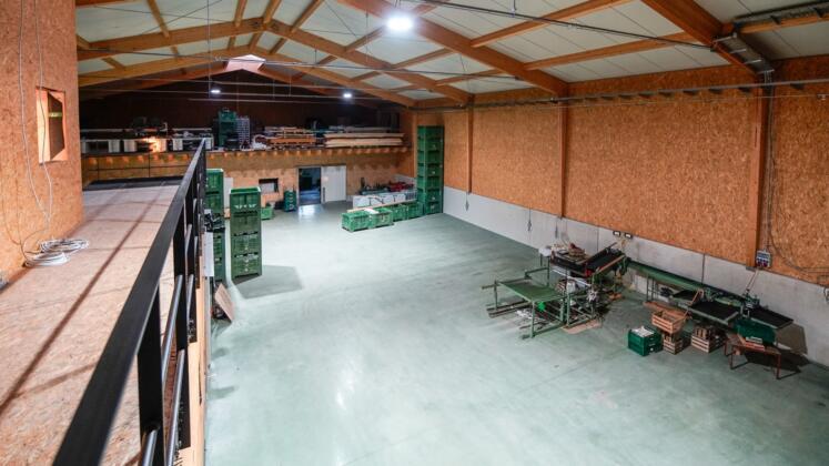 Unternehmertreffen beim obsthof werner in heidesheim Obsthof werner in heidesheim | foto: frau schmitt fotografiert