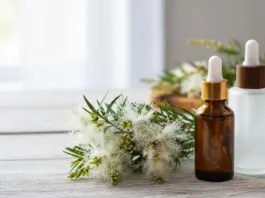 Warum Teebaumöl in keiner Hausapotheke fehlen darf