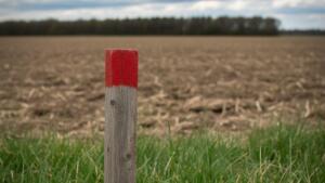 Bunte holzpfähle auf acker und wiese